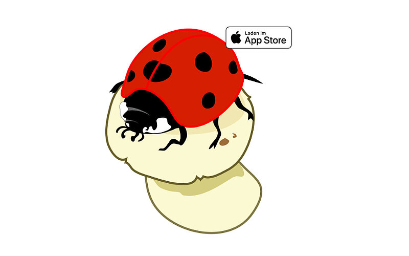 AboutNumbers PRO iPad-App