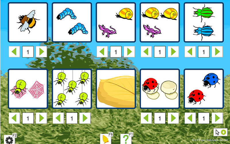 EYE Train   Learn1