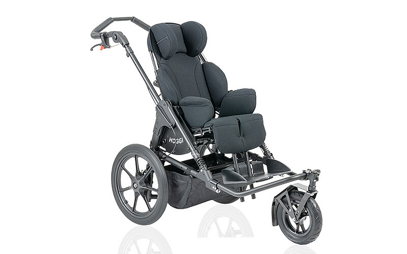 Rehabuggy-FiNiFuchs-Bingo SWITCH Hauptbild