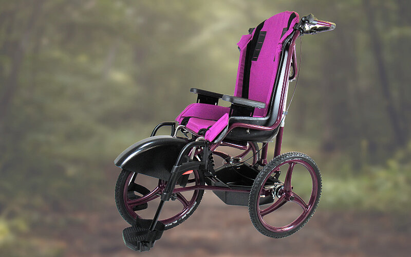 Rehabuggy Largoo