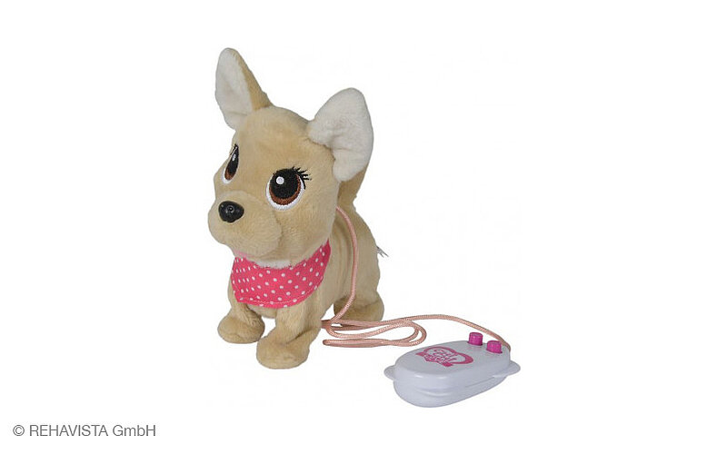 Rehavista Chihuahua Rehavista Chihuahua