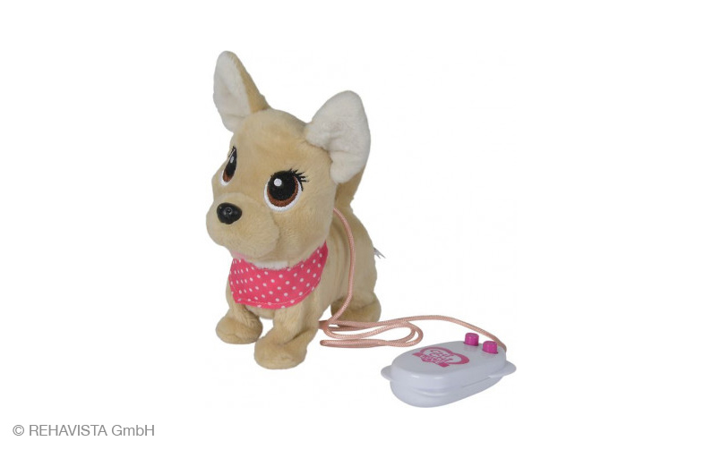Rehavista Chihuahua