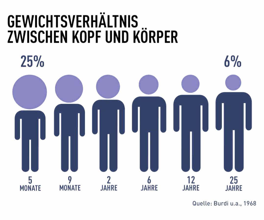 Rehaautositz