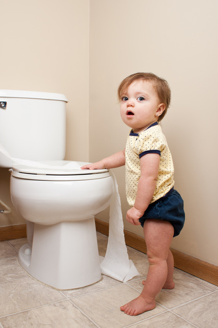 Toilettenhilfe